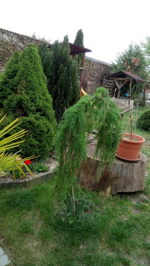 Penzion U Formana Straz nad Nezarkou Exterior foto
